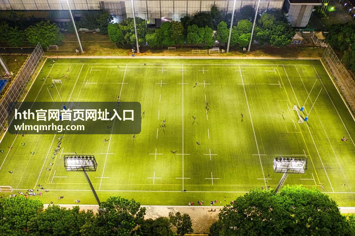 hth官网首页网址入口浏览器缓存导致显示旧页面