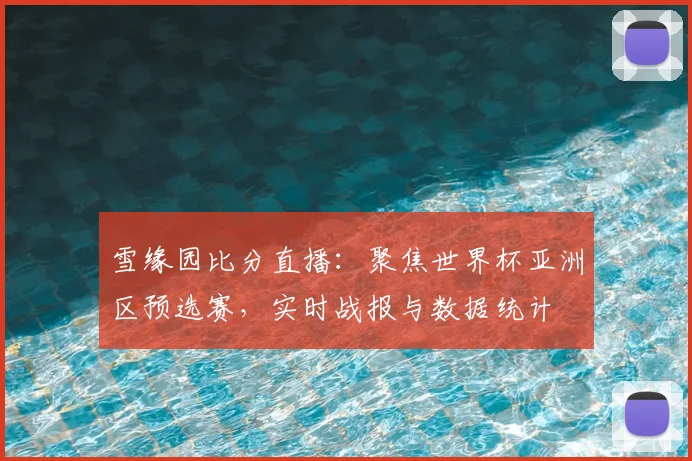 雪缘园比分直播:聚焦世界杯亚洲区预选赛,实时战报与数据统计