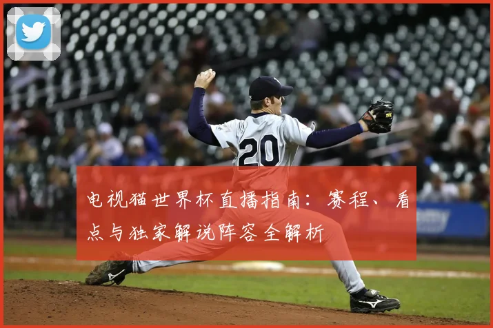 电视猫世界杯直播指南：赛程、看点与独家解说阵容全解析
