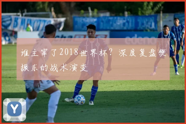 谁主宰了2018世界杯？深度复盘樊振东的战术演变