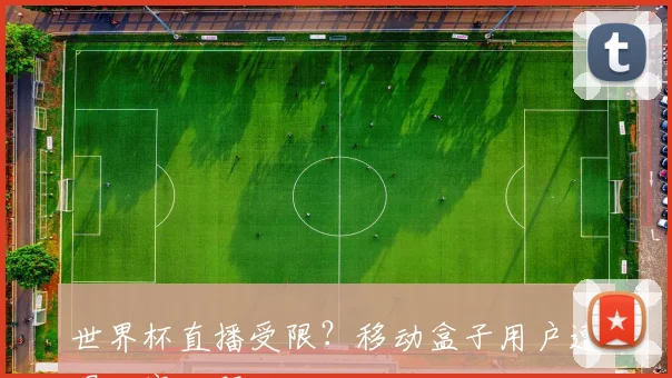 世界杯直播受限？移动盒子用户遭遇观赛难题