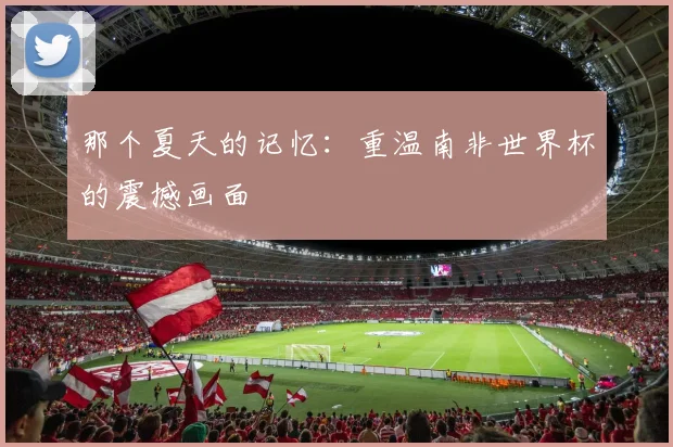 那个夏天的记忆：重温南非世界杯的震撼画面
