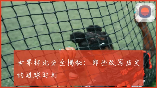 世界杯比分全揭秘:那些改写历史的进球时刻