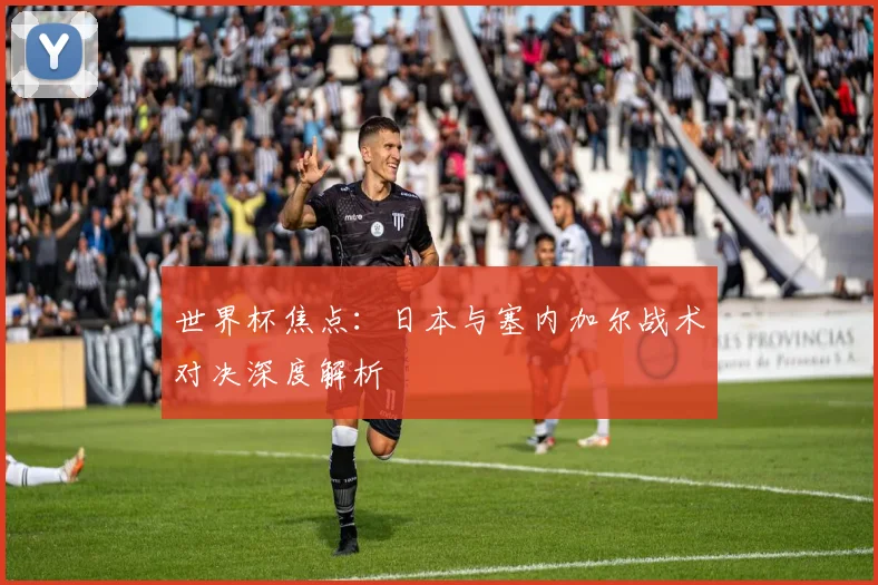 世界杯焦点：日本与塞内加尔战术对决深度解析
