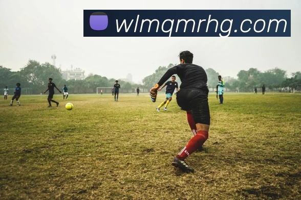 开云官方登陆入口平台生态图