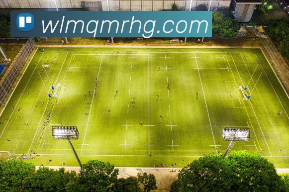 开云官方登陆入口APP 封面图